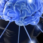 Brain