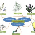 Diagrama relajación, tranquilidad y concentración.