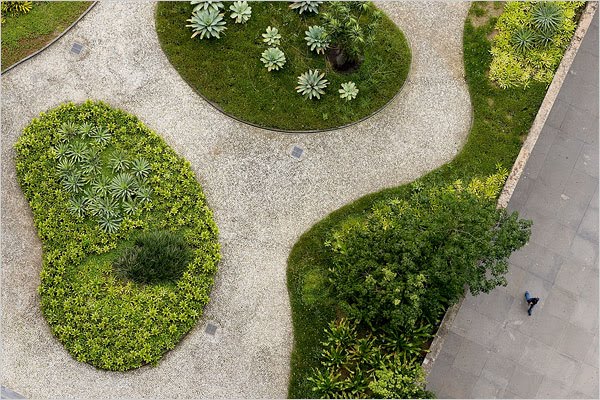 burle2 diseño de jardines SAPPAC CAV carabobo